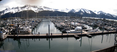 view from Seward Harbor on 2025-05-27