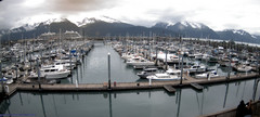 view from Seward Harbor on 2025-06-17