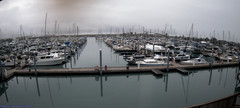 view from Seward Harbor on 2025-06-23