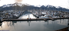 view from Seward Harbor on 2025-06-29