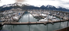 view from Seward Harbor on 2025-06-29