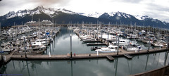 view from Seward Harbor on 2025-06-29