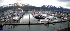 view from Seward Harbor on 2025-06-29