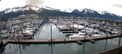 view from Seward Harbor on 2025-06-29