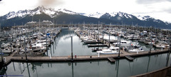 view from Seward Harbor on 2025-06-29