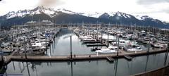 view from Seward Harbor on 2025-06-29
