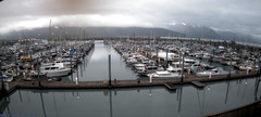 view from Seward Harbor on 2025-07-09