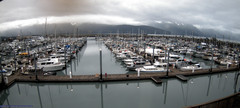 view from Seward Harbor on 2025-07-09