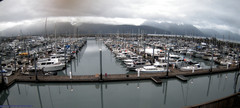 view from Seward Harbor on 2025-07-09