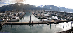 view from Seward Harbor on 2025-08-24