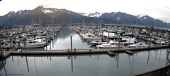 view from Seward Harbor on 2025-08-31