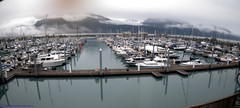 view from Seward Harbor on 2025-09-02