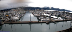 view from Seward Harbor on 2025-09-04