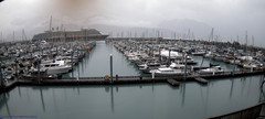 view from Seward Harbor on 2025-09-09