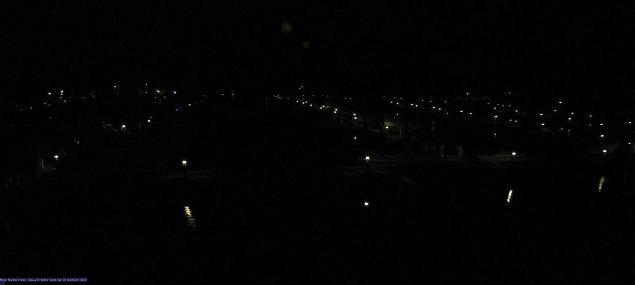 time-lapse frame, Seward Harbor webcam