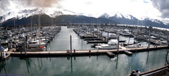 view from Seward Harbor on 2026-05-31