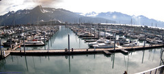 view from Seward Harbor on 2026-07-30