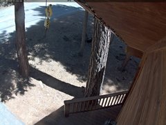 view from Tahoe Woods on 2025-05-09