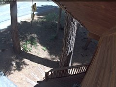 view from Tahoe Woods on 2025-05-29