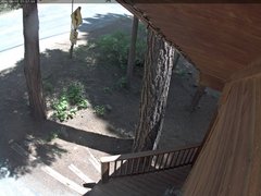 view from Tahoe Woods on 2025-06-15