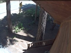 view from Tahoe Woods on 2025-06-28