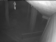 view from Tahoe Woods on 2026-06-19