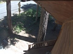 view from Tahoe Woods on 2026-06-24