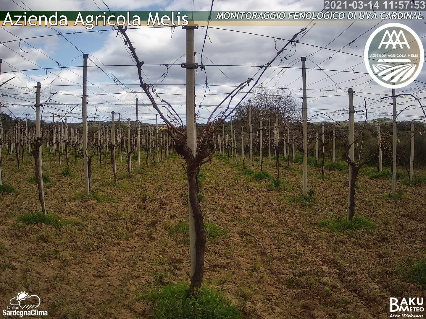 time-lapse frame,  webcam