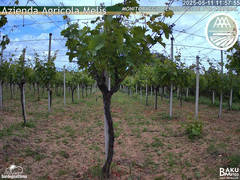 view from Bari Sardo - Fenologica on 2025-05-11