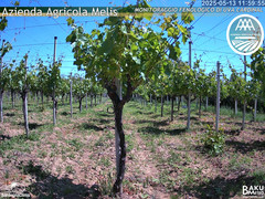 view from Bari Sardo - Fenologica on 2025-05-13