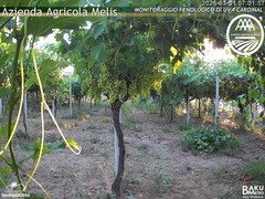 view from Bari Sardo - Fenologica on 2025-07-01