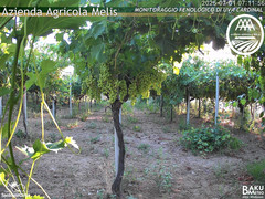 view from Bari Sardo - Fenologica on 2025-07-01