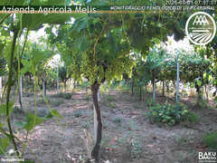 view from Bari Sardo - Fenologica on 2025-07-01