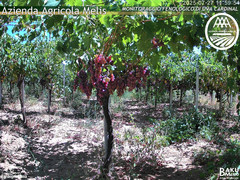 view from Bari Sardo - Fenologica on 2025-07-27