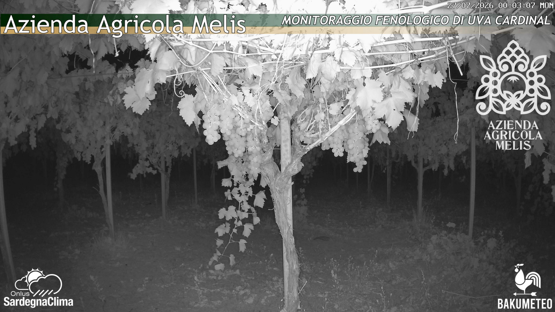 time-lapse frame, Bari Sardo - Fenologica webcam