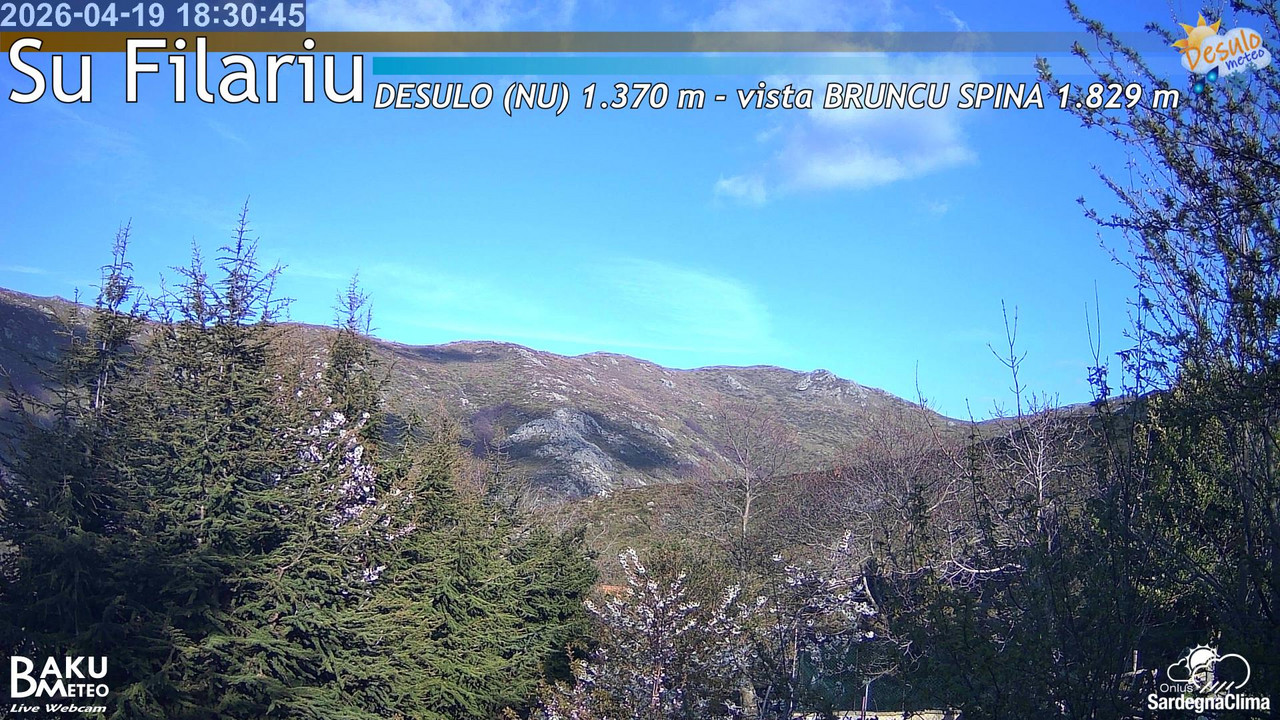 Su Filariu animated GIF