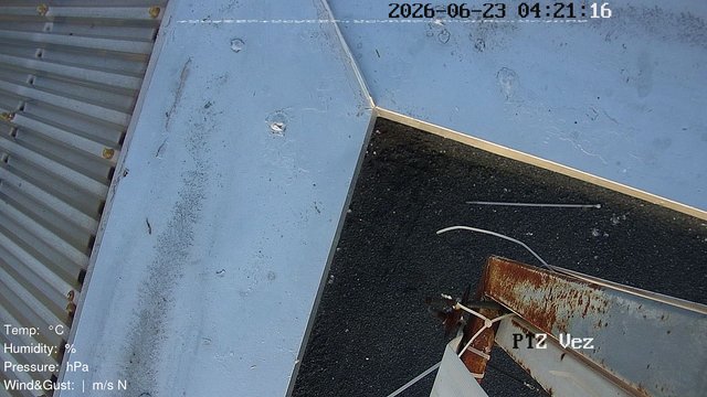 time-lapse frame, Labe Arena Racice webcam