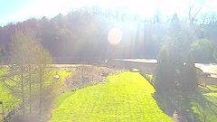 view from YardCam on 2025-05-05