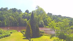 view from YardCam on 2025-07-03