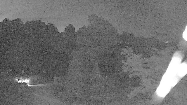 time-lapse frame, YardCam webcam