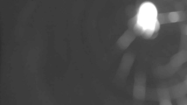 time-lapse frame, YardCam webcam