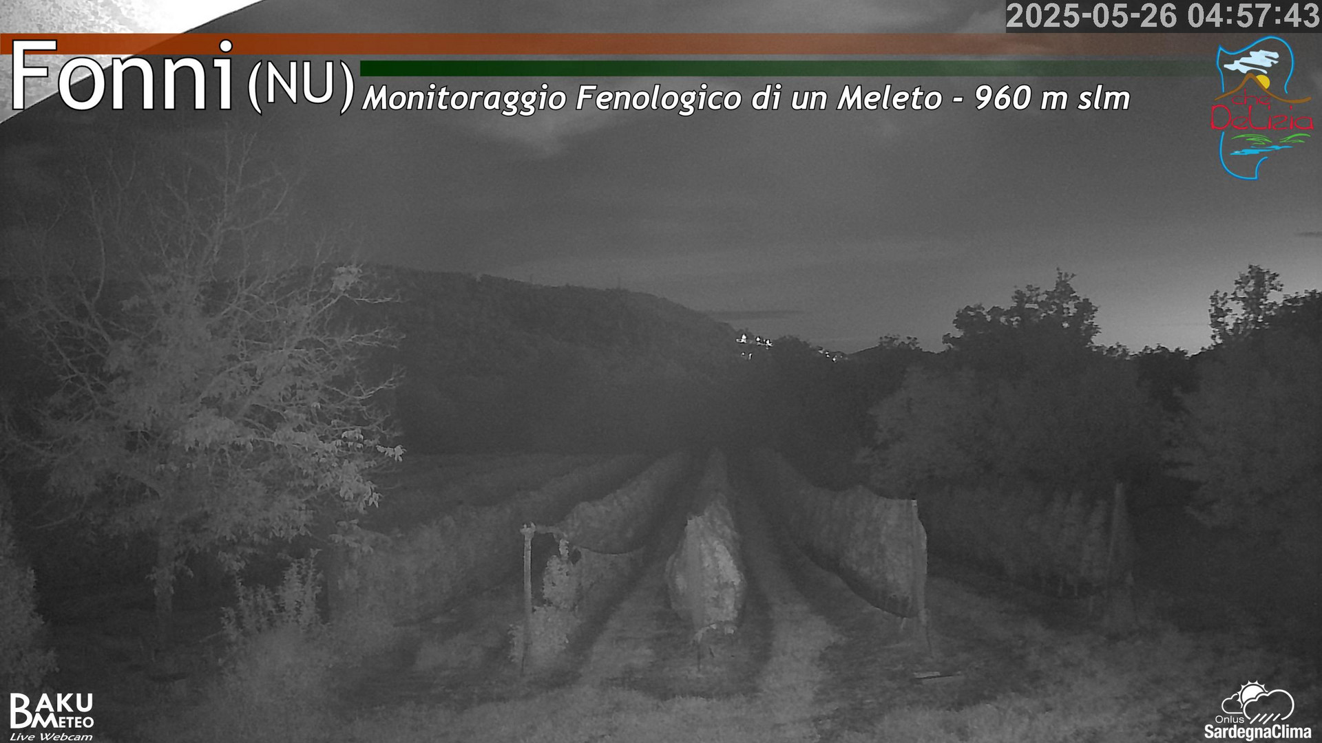 time-lapse frame, Fonni Meleto webcam