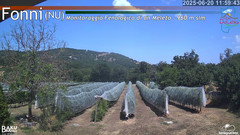 view from Fonni Meleto on 2025-06-20