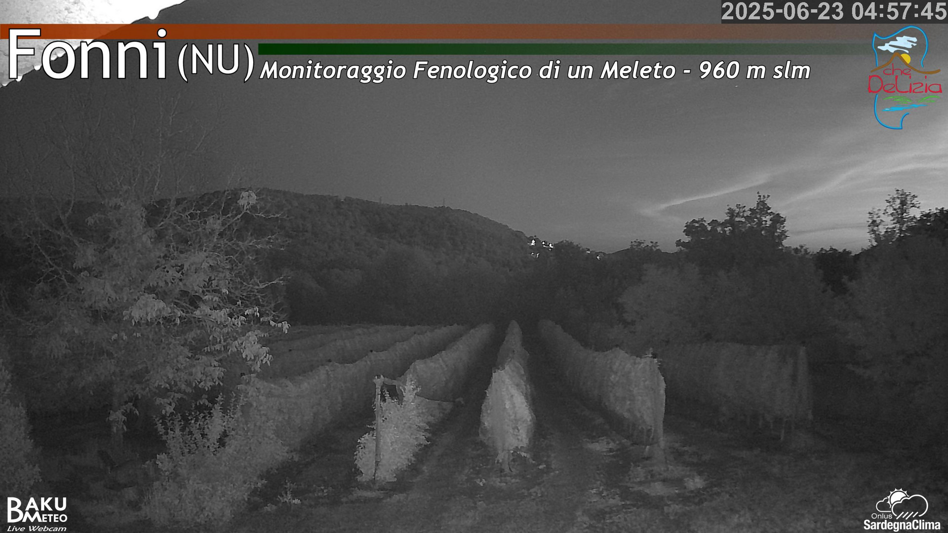 time-lapse frame, Fonni Meleto webcam