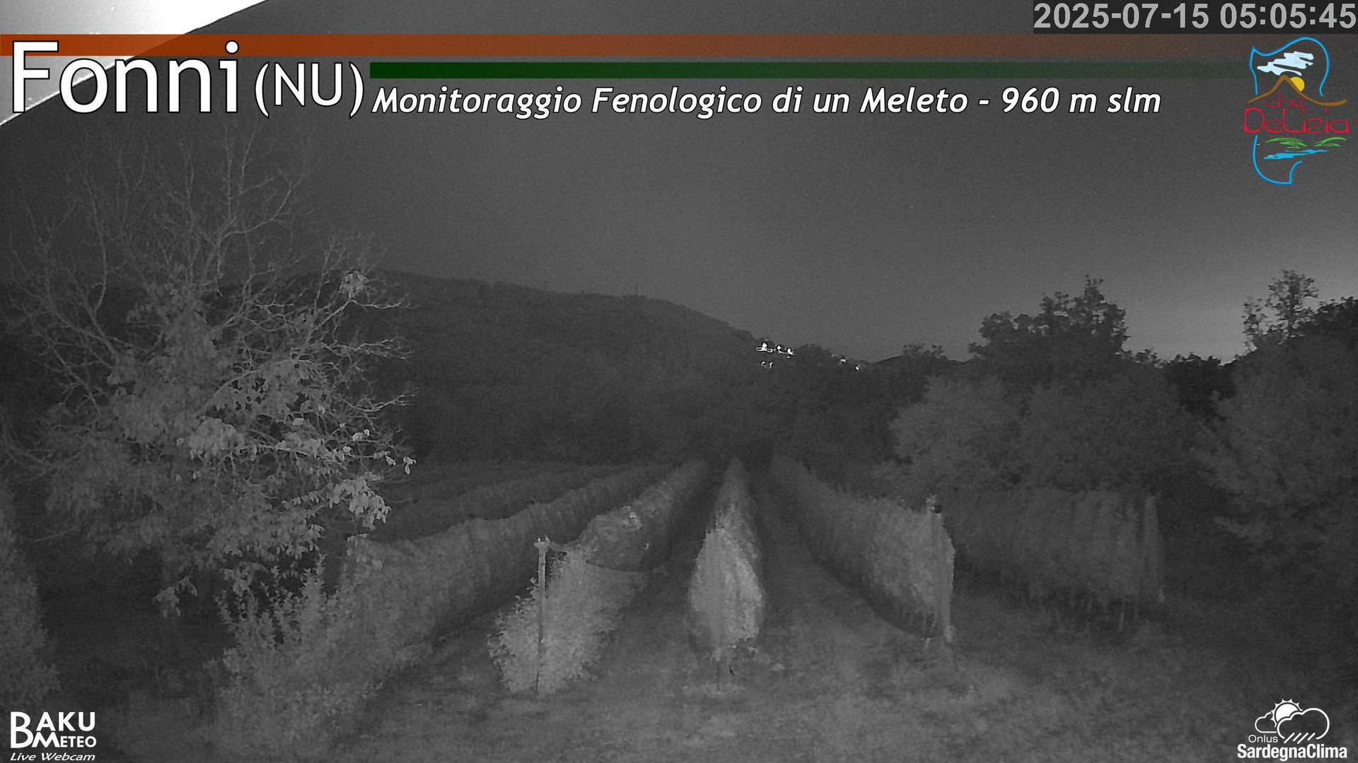 Fonni Meleto animated GIF
