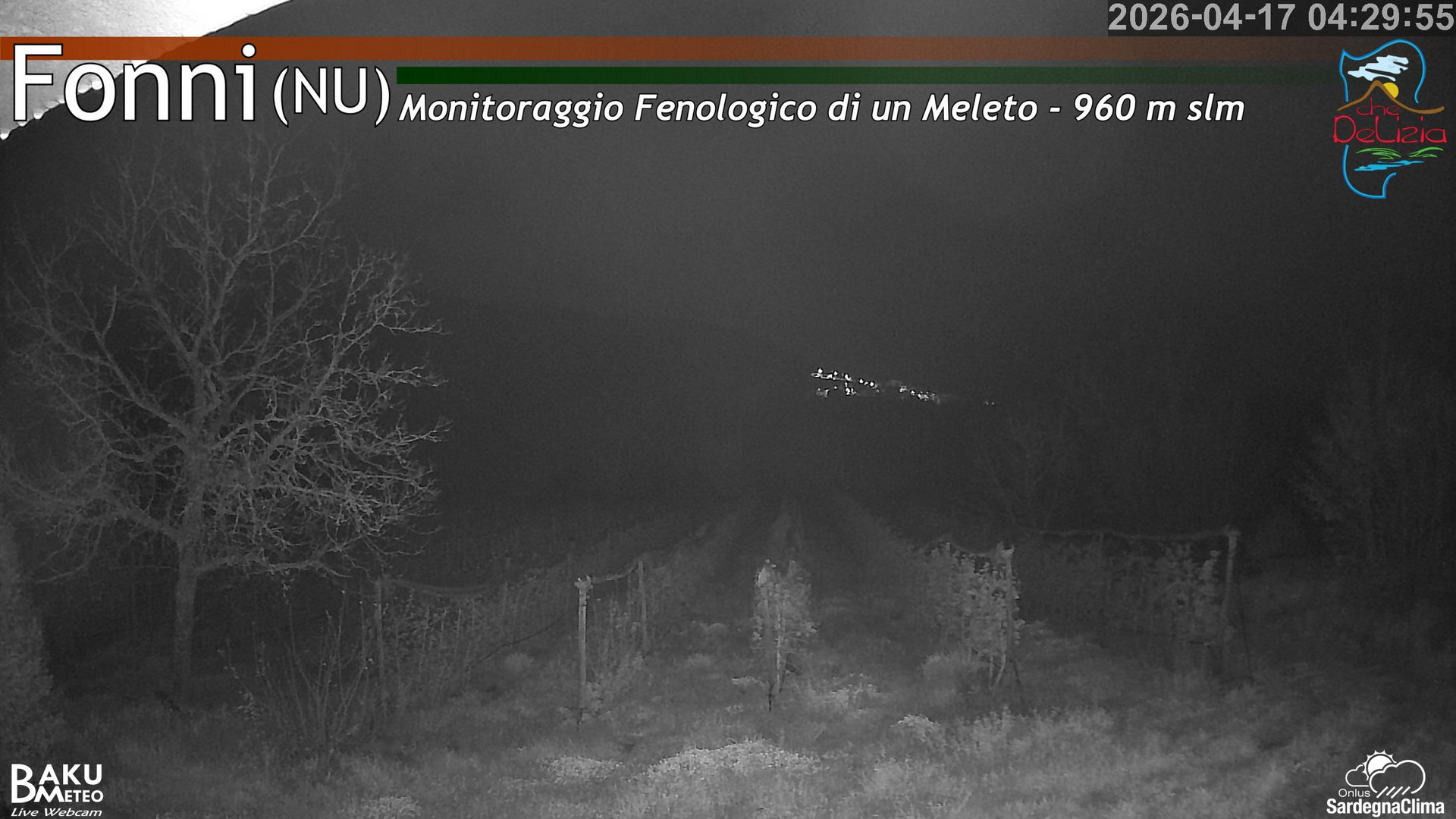 Fonni Meleto animated GIF