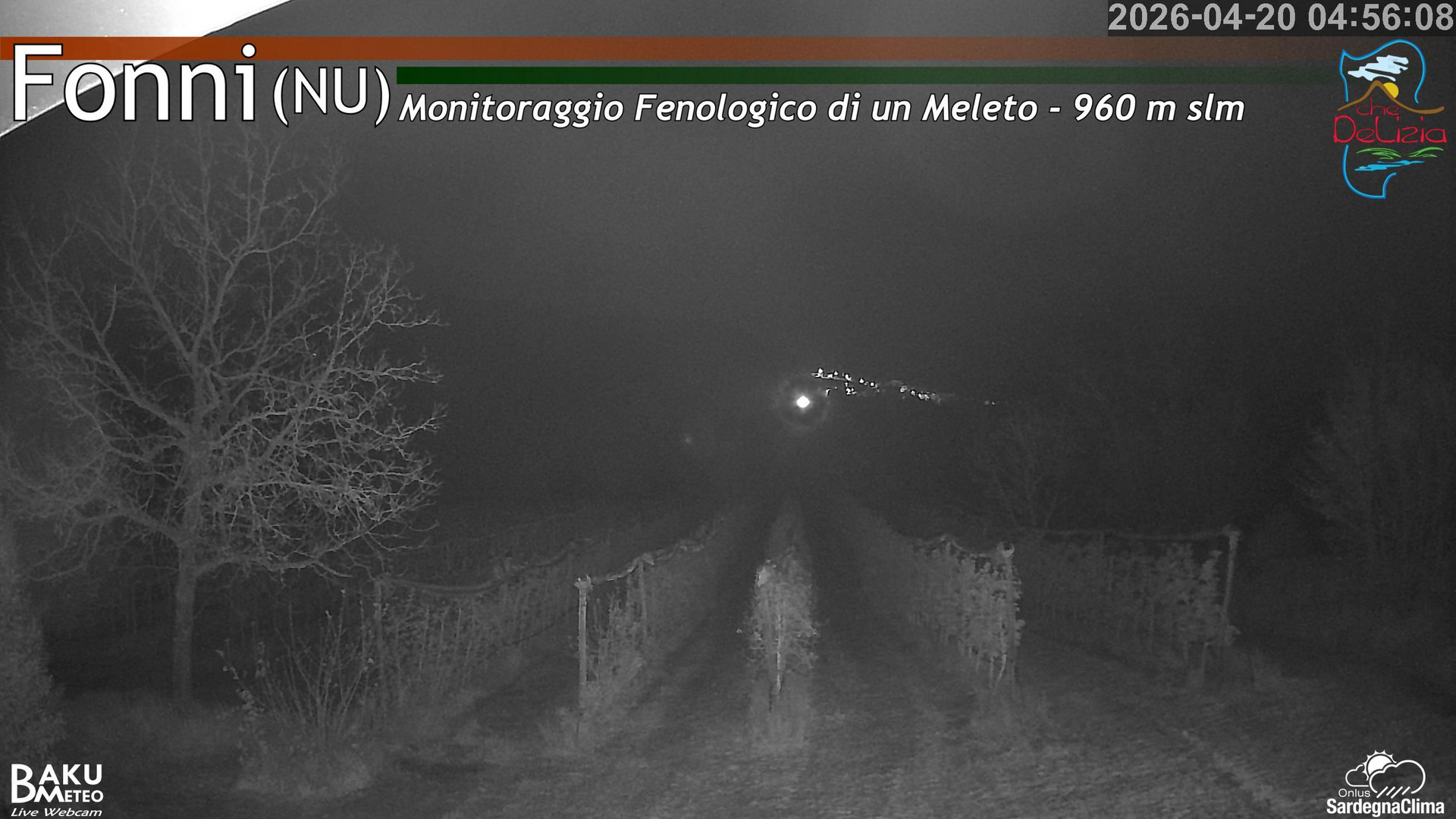 time-lapse frame, Fonni Meleto webcam
