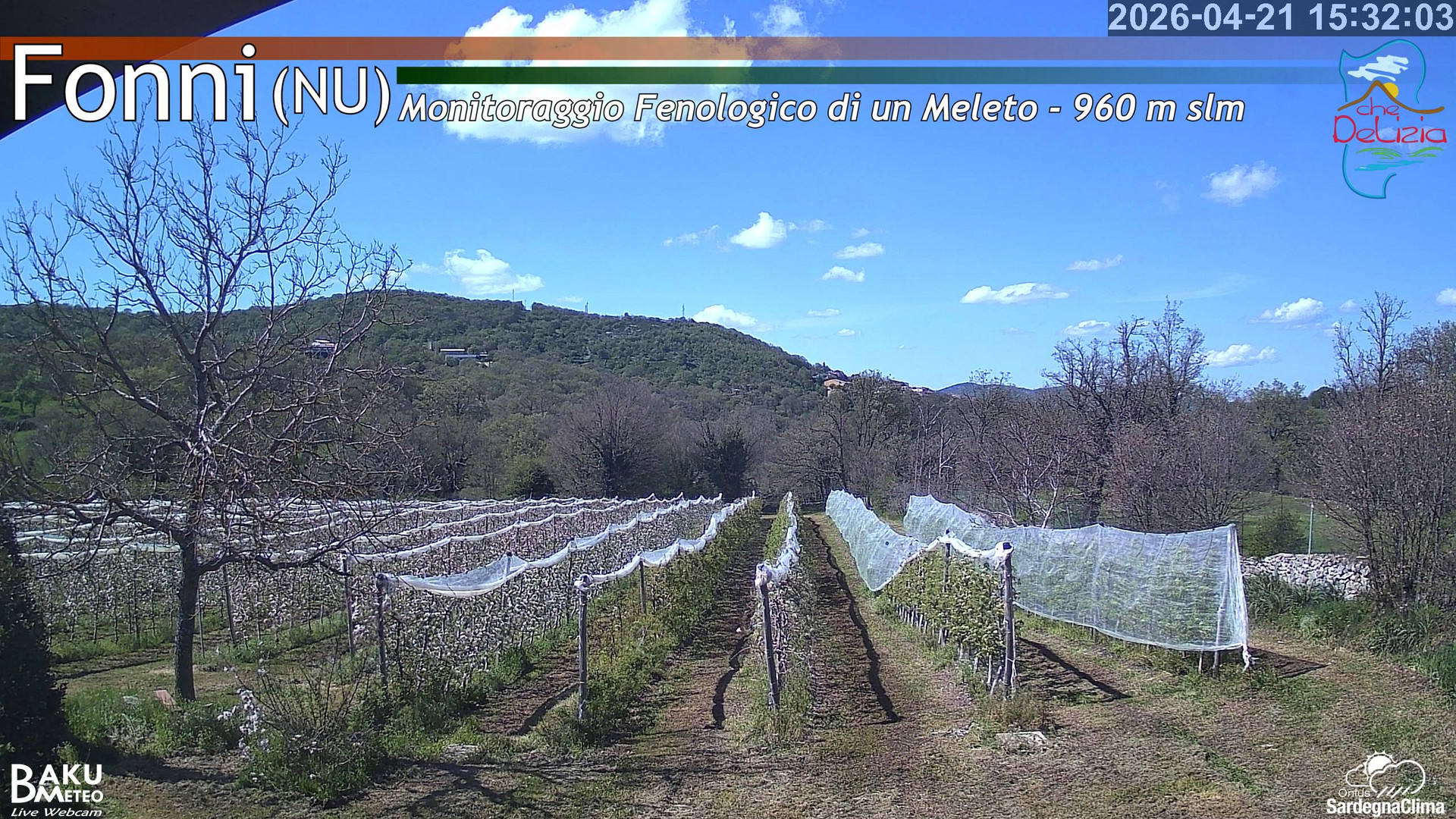 Fonni Meleto animated GIF