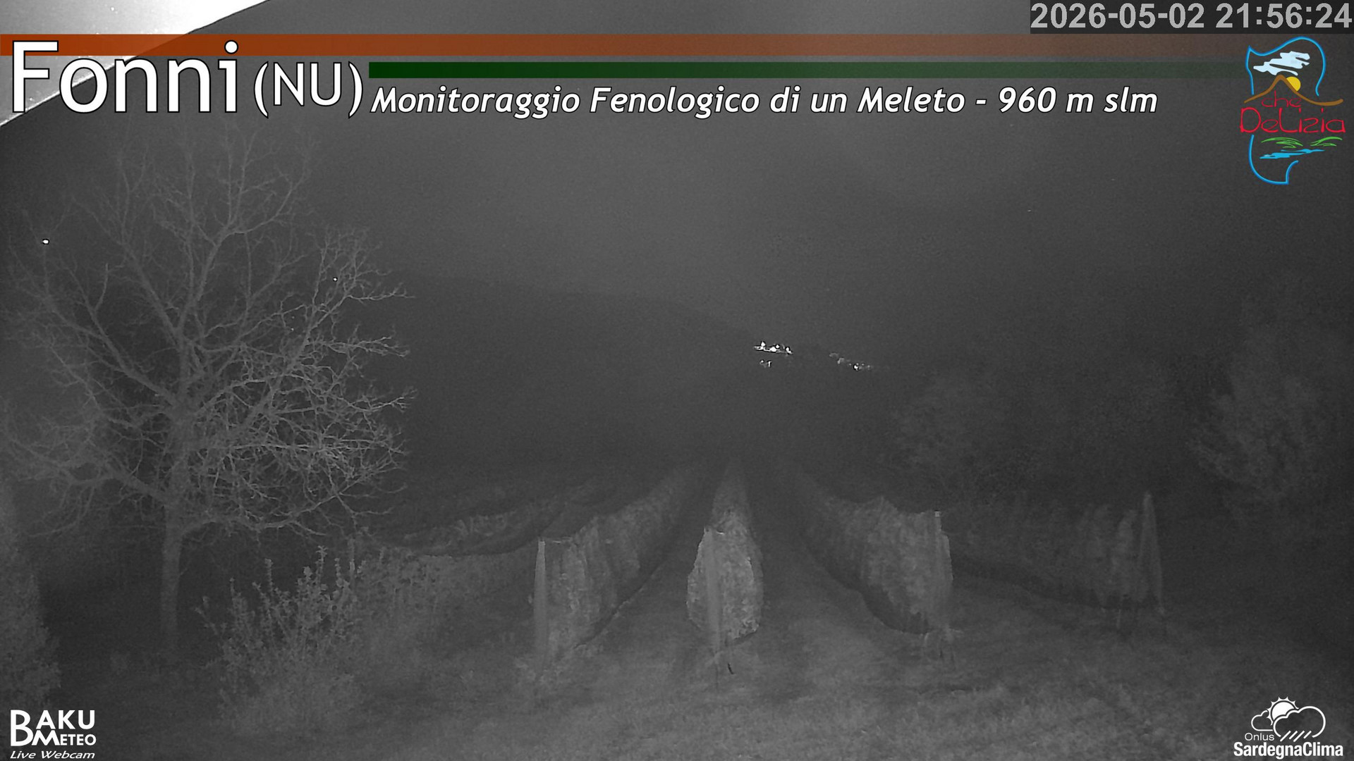Fonni Meleto animated GIF