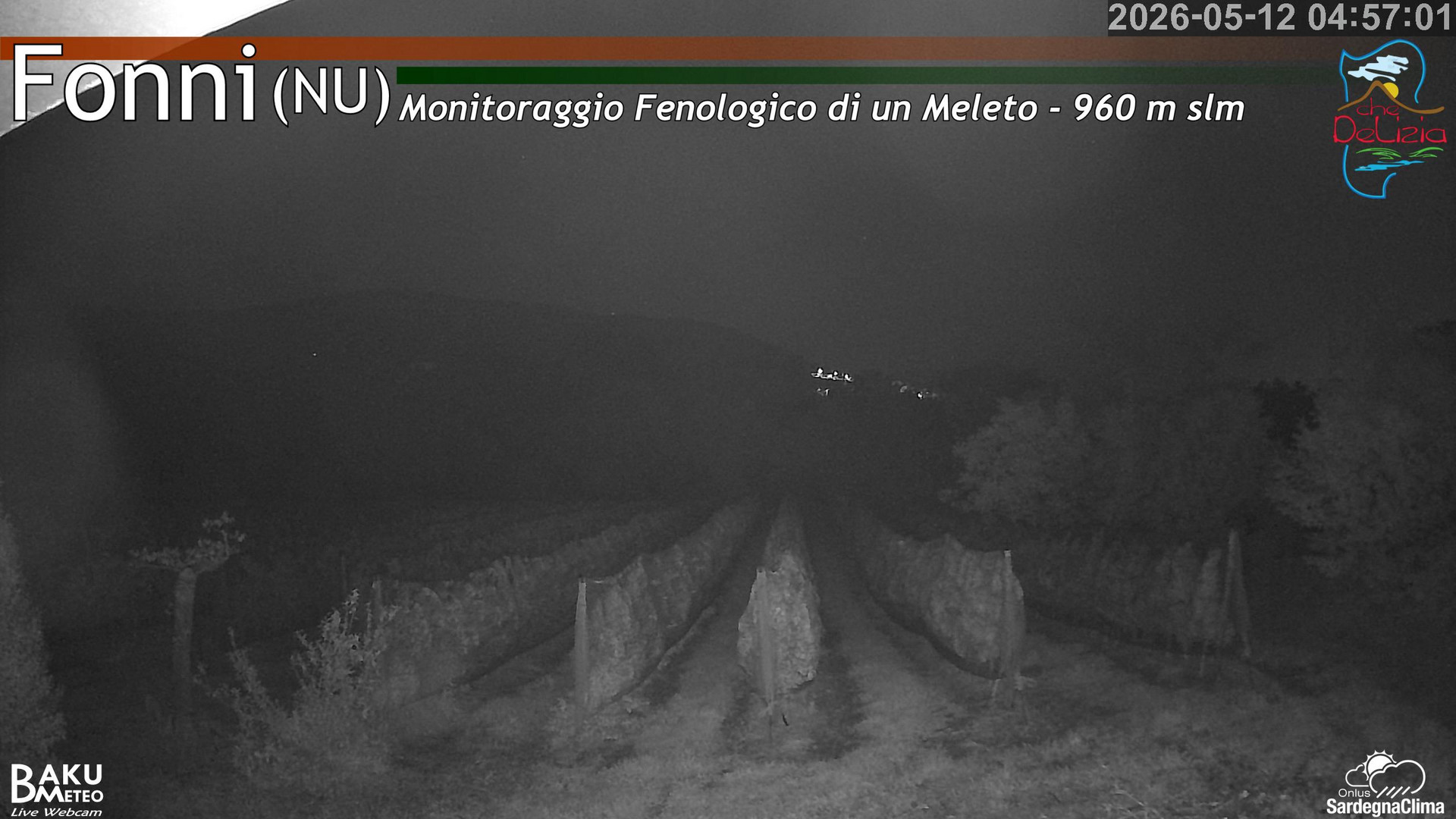 time-lapse frame, Fonni Meleto webcam